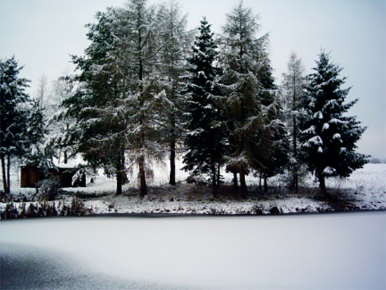 Winterlandschaft am See