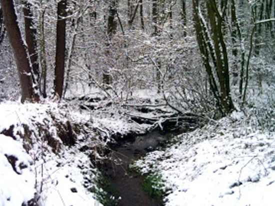 Winterlandschaft mit Flusslauf